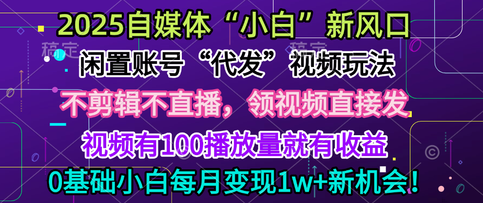 2025每月躺赚5w+新机会，闲置视频账号一键代发玩法，0粉不实名不剪辑，领了视频直接发，0基础小白也能日入300+-久创网