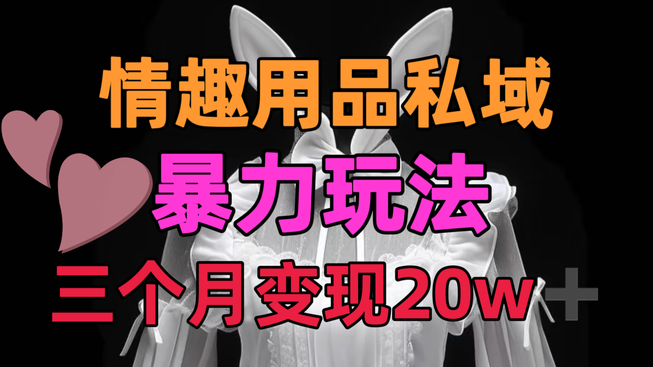 情趣用品私域，25年最新暴力玩法，三个月变现20w➕-久创网