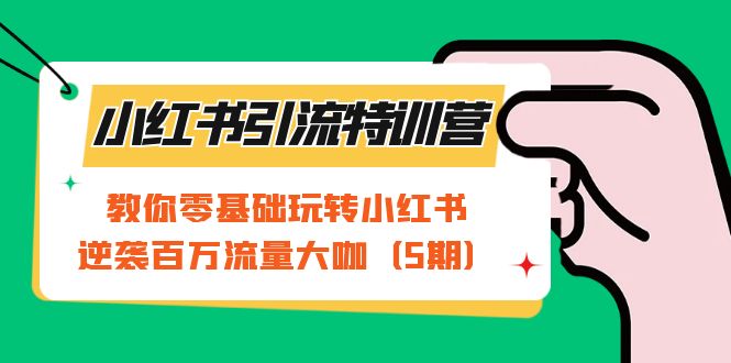 小红书引流特训营-第5期：教你零基础玩转小红书，逆袭百万流量大咖-久创网