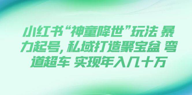 小红书“神童降世”玩法 暴力起号,私域打造聚宝盆 弯道超车 实现年入几十万-久创网